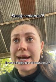 Royal Honey in New Amsterdam