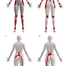 Make sure the line is stroked from the center to the lower side of the circle. A A Traditional And Simple Outline Of An Androgynous Body Often Used Download Scientific Diagram