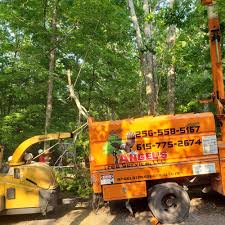THE BEST 10 Tree Services near Goodlettsville, TN 37072 - Last Updated July  2023 - Yelp