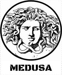 Rose Drawing Camera Drawing Skull Drawing Cloud Drawing Medusa Sculpture 695893 Free Icon Library Jellyfish drawing, medusa png clipart. rose drawing camera drawing skull