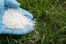 This video is the perfect guide to get your lawn to where it needs to be. Maintaining St Augustine Grass In South Florida Lawncierge