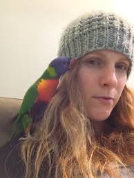 My rainbow lorikeet has been missing since 9am