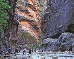 The official instagram account of zion national park. Zion National Park S Must See Sights Activities The Mountaineers