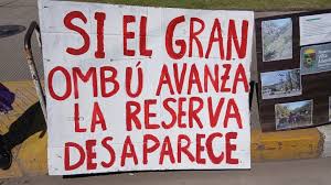 images?q=tbn:ANd9GcSG_mr7-yXTHhrKdch8TXnVc4ZzAiq2eAQDyQ&s