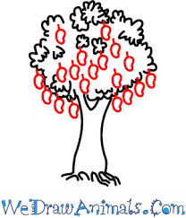 How To Draw A Mango Tree Saroj kumari drawing classes 78.273 views1 year ago.