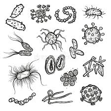 Febbre dengue virus trasmesso dalle zanzare virus. Bakterien Und Virus Zelle Vektor Abbildung Illustration Von Allergene 49172164