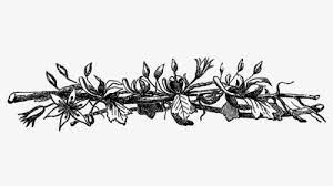 Seamless pattern black white flowers poppy flower love material design pattern digital design black floral design on black background black and whiote vintage pattern white. Black And White Flower Png Images Transparent Black And White Flower Image Download Pngitem