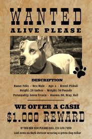 Lost cat printable sign flyer poster template parenting leehansen. Vintage Wanted Dog Missing Pet Poster Template Postermywall
