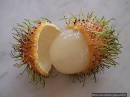 There are many fruits in the world, some usual and some unusual and some totally strange to some people. Rambutan Unusual Fruit From Around The World Insureandgo