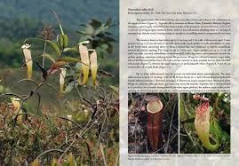 Our garden plants nursery nurture & grow a variety of tropical palms, trees, bamboos, shrubs and ground covers. Field Guide To The Pitcher Plants Of Peninsular Malaysia And Indochina Nhbs Field Guides Natural History