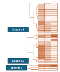Image result for bioinformatics heatmap