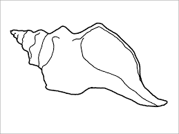 Of different shapes, sizes and colors are sea shells. Printable Shell Coloring Page For Kids Coloringbay