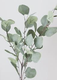 We did not find results for: Green Eucalyptus Leaves Fake Greenery For Weddings Afloral Com Zelenye Kartiny Sushenye Cvety Cvety