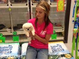 Find more pet stores near the animal house. Animal House Pet Shop Youtube