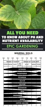 Avoid Nutrient Lockout By Reading This Guide On Ph And