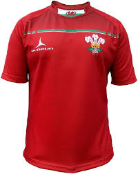 Grey signs for jersey 27 nov 2020 tim grey has signed for english championship side jersey. Sublimated Wales Rugby Shirt Jersey Top Olorun Sports