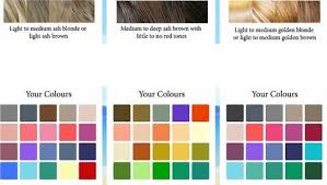 Colour Selection Based On Coat Colour The Myriad Of Choice