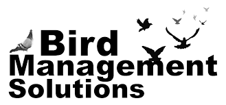 Photos, address, and phone number, opening hours, photos, and user reviews on yandex.maps. Bird Management Solutions Bird Proofing Specialists