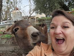 New Year's Day fun in the Kennels 🐾