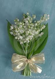 Blue letter bible offers several daily devotional readings in order to help you refocus on christ and the gospel of his peace and righteousness. Lily Valley Blue Stock Photos Images Pictures 709 Images Lily Of The Valley Lily Blue Photos