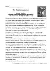 148 dokumente suche ´sachtexte´, deutsch, klasse 6+5. Arbeitsblatt In Der Grundschule Eisbar Sachtexte Tiere Sachthemen Hus Klasse 3 Grundschulmaterial De