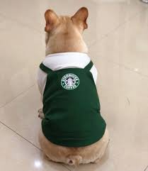 Puppy halloween costumes are meant to be cute and endearing; 30 Super Cute Halloween Costumes For French Bulldogs Hey Djangles