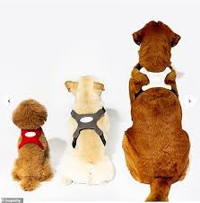 Japanese Startup Shows Off A Vest For Dogs At Ces That Will Show You Whether They Re Happy Or Sad Daily Mail Online 373 dog breed profiles, each breed has its own unique temperament. japanese startup shows off a vest for