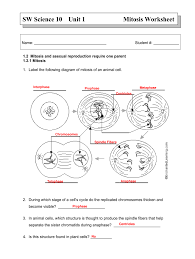 We did not find results for: Mitosis Worksheet Answers Fill Online Printable Fillable Blank Pdffiller