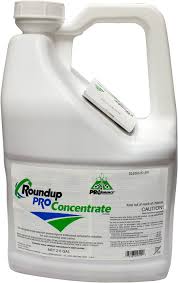 We did not find results for: The 8 Best Weed Killers Of 2021