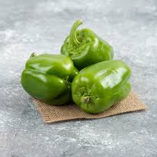 Image result for Capsicum