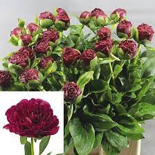 Maybe you would like to learn more about one of these? Pin On April Flowers