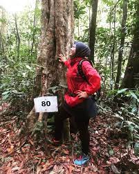 Located in the dense jungles of raub in. 8 Easy Jungle Treks In Malaysia 2017 Guide Tripfez Muslim Travel
