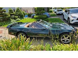 Image result for Polo Green 1990 GM