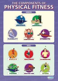 The Components Of Physical Fitness Pe Educational School Posters Elementary Physical Education Physical Education Physical Education Lessons