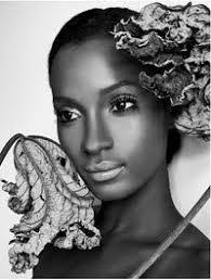 Monte Harris's Instagram, Twitter & Facebook