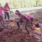 Muddy Princess - South Carolina event image