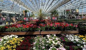 It is a development from the concept of the retail plant nursery but with a wider range of outdoor products. Bents Garden Home Visit Cheshire