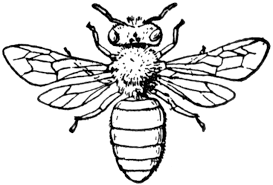 This coloring page comes with a building made using the blocks. Honey Bee Clipart Etc Honey Bee Drawing Bee Coloring Pages Bee Drawing