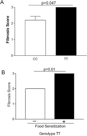 The TGFβ1 Promoter SNP C-509T and Food Sensitization Promote Esophageal  Remodeling in Pediatric Eosinophilic Esophagitis