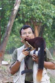 Earth Song Indian Giant Squirrel Giant Squirrel Rare Animals