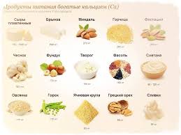 Kak Vosstanovit Kalcij V Organizme Nashe Zhittya