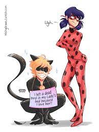 Miraculous Ladybug Miraculous Ladybug Anime Miraculous Ladybug Comic Miraculous Ladybug Memes