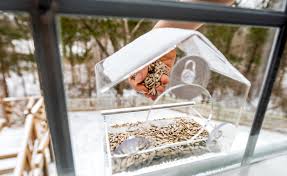 When you said you have a rustically styled home and wanted to keep the aesthetic of your bird feeder natural to match their tutorial shows you how to make a seed mixture that you can apply to hollowed spots in the branch so that birds can peck at them when they dry. Guide To Window Bird Feeders Happy Beaks Blog