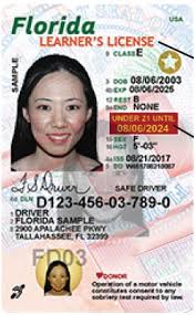 Means a personal identification card issued by the department which conforms to the definition in 18 u. Driver License And Renewals Hernando County Fl