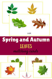 Spring And Autumn Leaves Matching Cards Montessori Printables This Activity Is Very Suitable For Matching Cards Leaf Identification Cards Montessori Materials