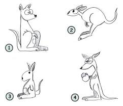 Drawing A Cartoon Kangaroo Pictures To Draw Drawings Animal Drawings