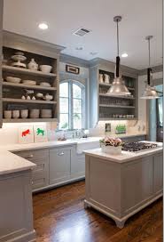 Kitchen Ideas Decorating With White Appliances Painted Cabinets Home Kitchens Kitchen Inspirations Grey Kitchen Cabinets