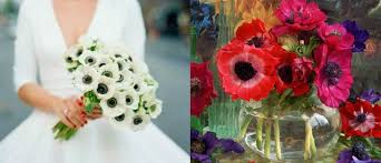 Flowers for everyone offers the best fresh flowers across australia from $44.95. 7 In Season Wedding Flowers For The July Bride Wedded Wonderland