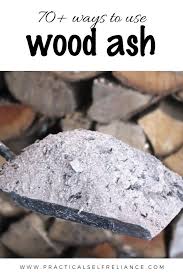 70 Uses For Wood Ash Ash Wood Survival Survival Prepping