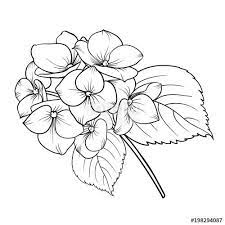Pin By Stef Lu Beck On Art With Needles Flower Line Drawings Hydrangeas Art Flower Drawing